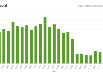 Balkendiagramm: Hechtfänge Bachtelsee 1996–2020.