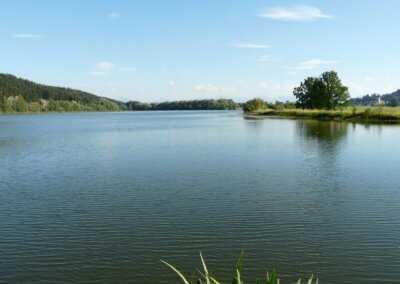 Bachtelsee