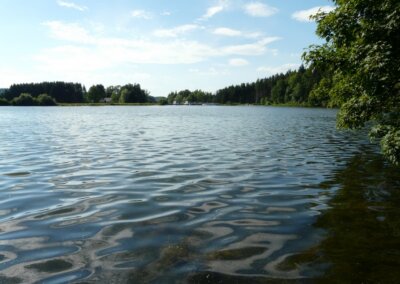 Bachtelsee