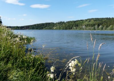 Bachtelsee