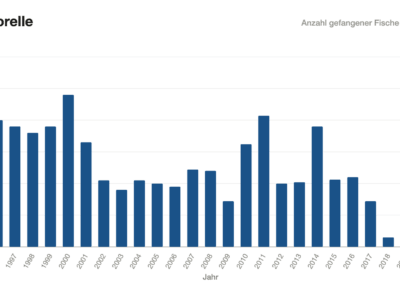 Balkendiagramm: Forellenfänge Geltnach 1996–2020.