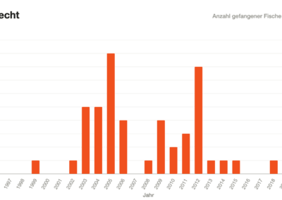 Balkendiagramm: Hechtfänge Geltnach 1996–2020.