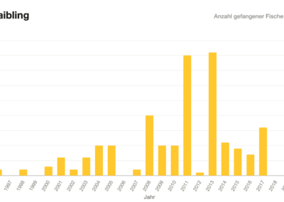 Balkendiagramm: Saiblingsfänge Geltnach 1996–2020.