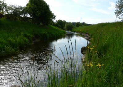 Geltnach