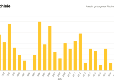 Balkendiagramm: Schleienfänge Kögelweiher 1996–2020.
