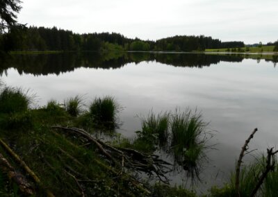 Kögelweiher