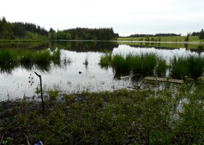 Kögelweiher