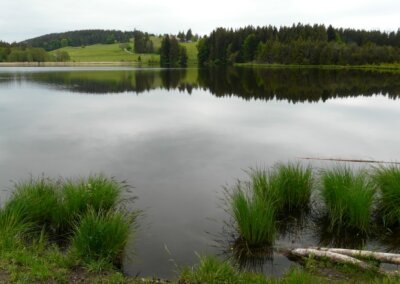 Kögelweiher