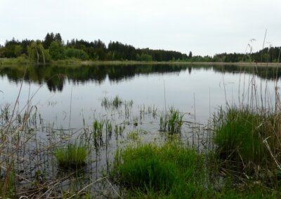 Korbsee