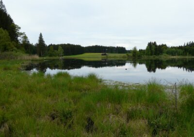 Korbsee