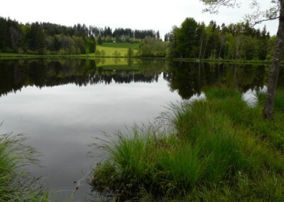 Neuweiher
