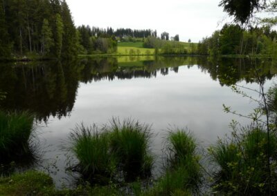 Neuweiher