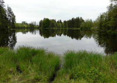 Neuweiher