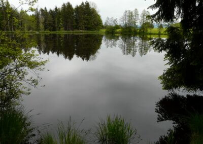 Neuweiher