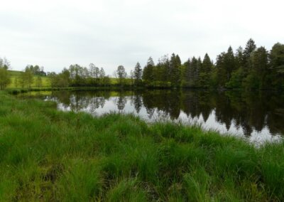Neuweiher