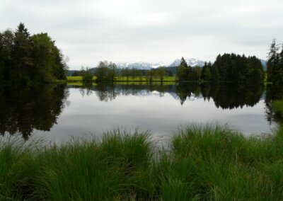 Neuweiher