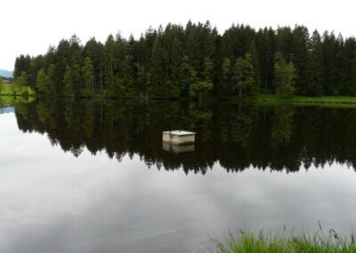 Neuweiher