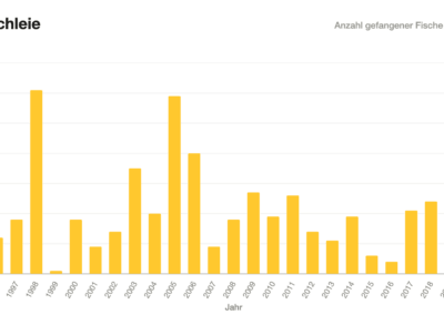 Balkendiagramm: Schleienfänge Schönewaldweiher 1996–2020.