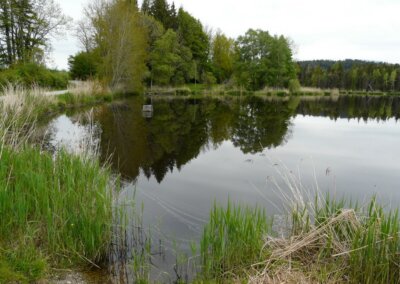 Schönewaldweiher