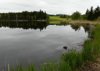 Schönewaldweiher