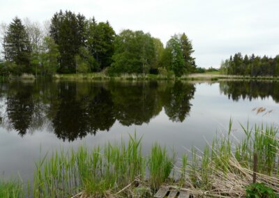 Schönewaldweiher