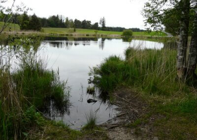 Schönewaldweiher