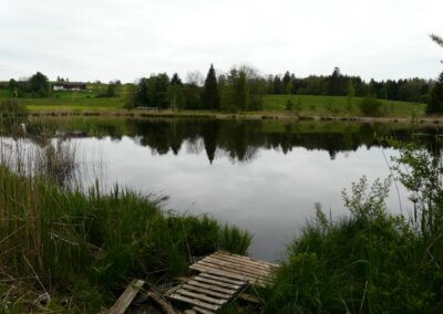 Schönewaldweiher