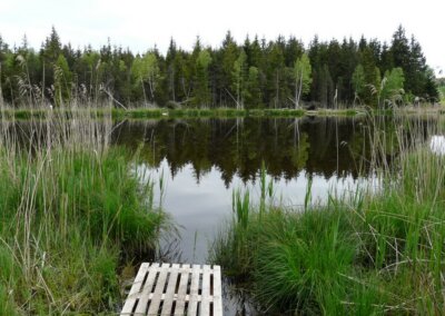 Schönewaldweiher