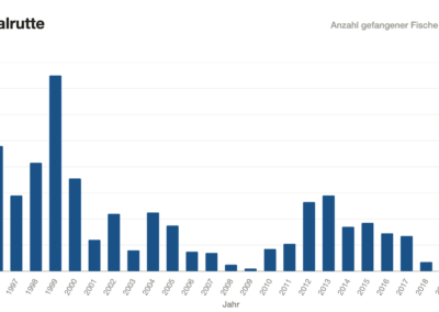 Balkendiagramm: Aalruttenfänge Wertach 1996–2020.