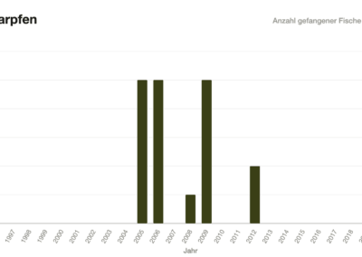 Balkendiagramm: Karpfenfänge Wertach 1996–2020.