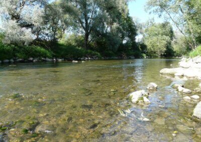 Wertach
