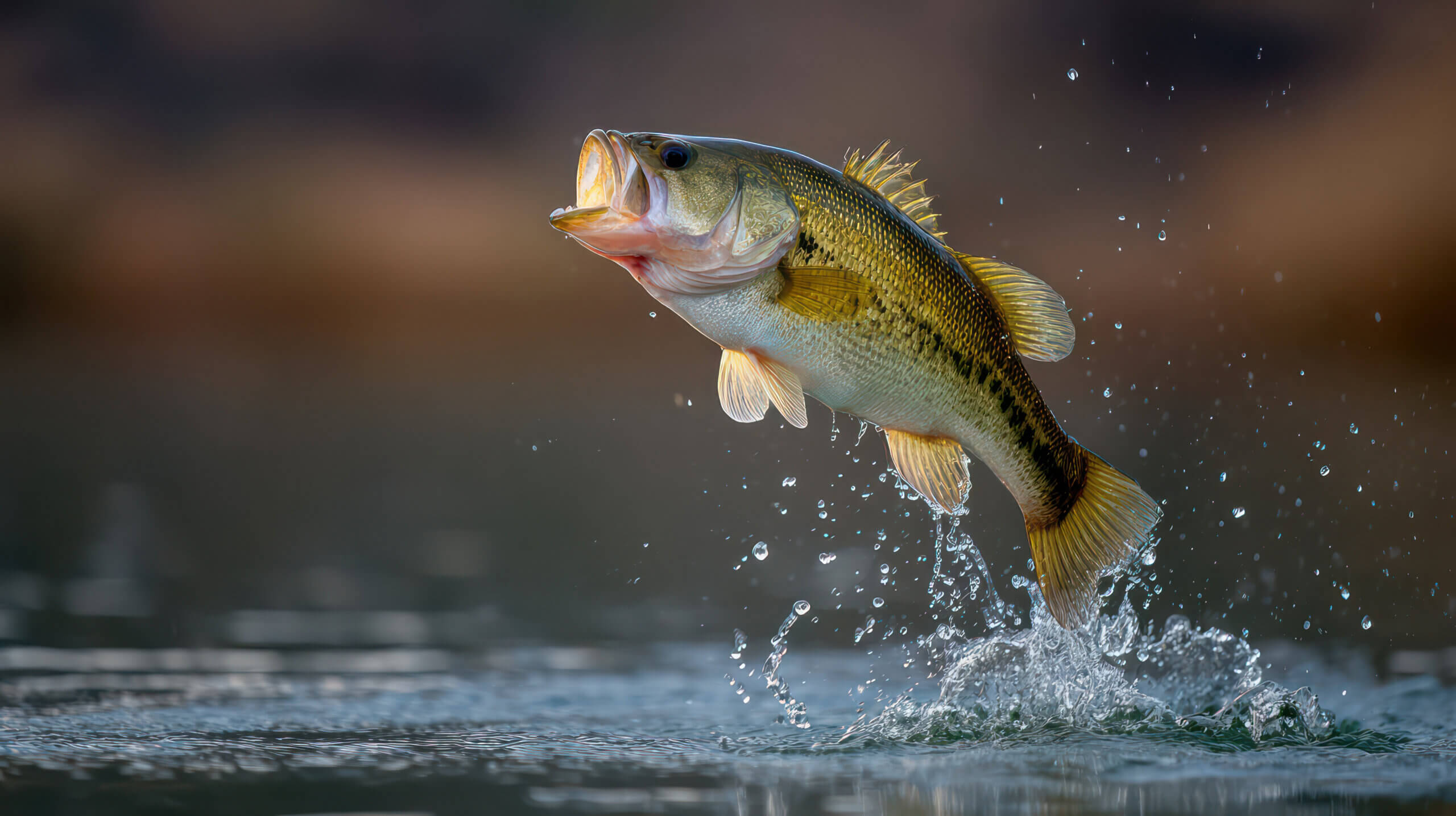 Barsch springt mit Wasserspritzern aus einem See – gesunde Fischbestände durch Gewässerpflege