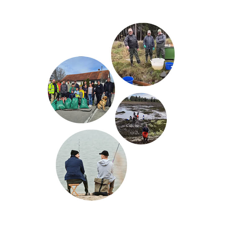 Bildcollage aus dem Vereinsleben: Müllsammelaktion, Abfischen in Wathosen, Teicharbeit und Angler am Ufer